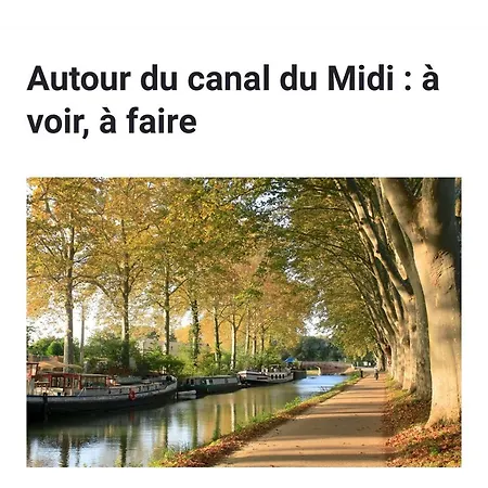 Les Iris Appartement Carcassonne